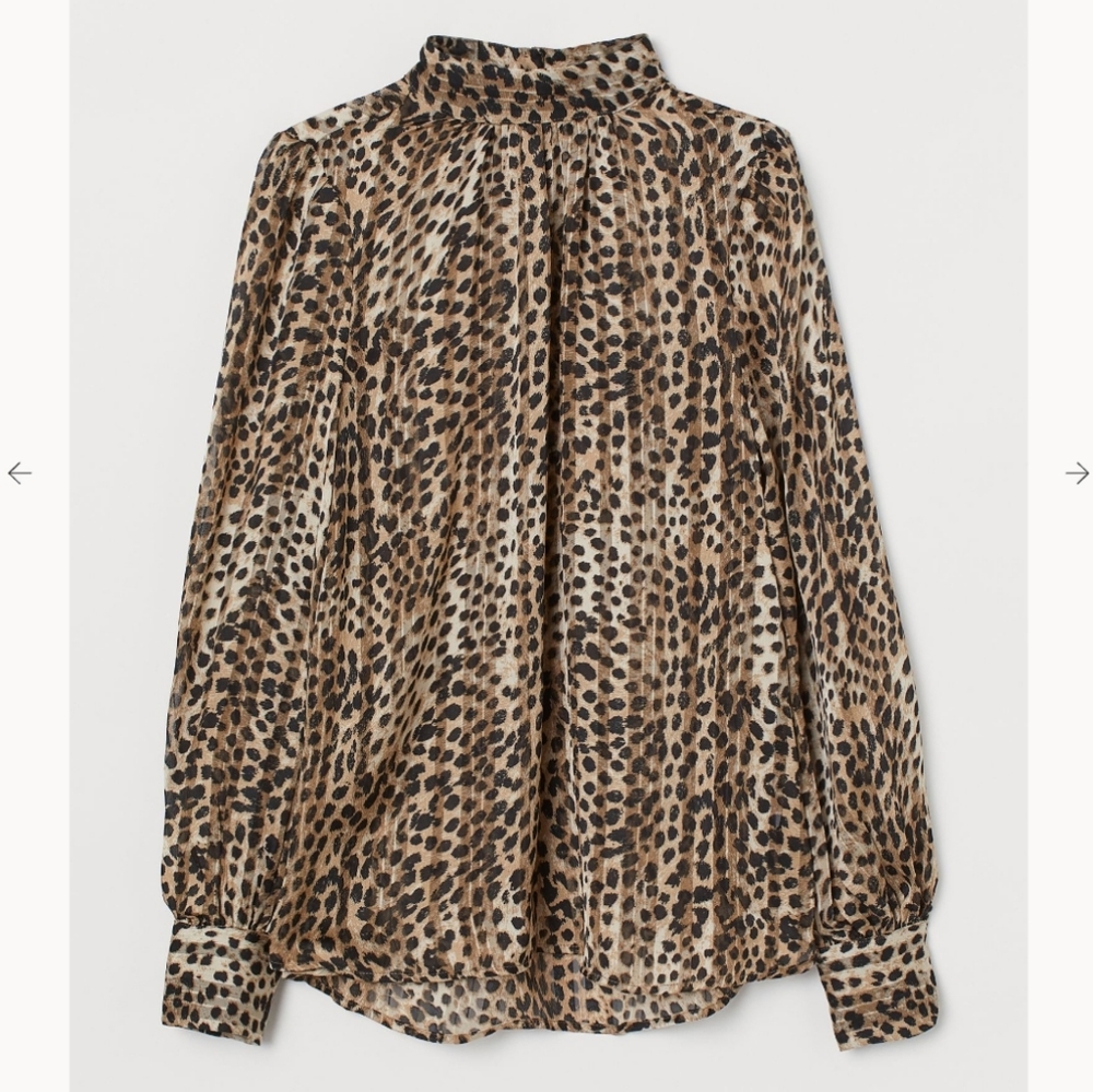 Long sleeve Blouse